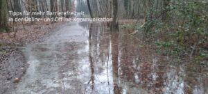 Nicht barrierefrei: überschwemmter Wanderweg im Wald