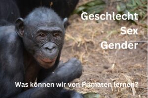 Bonobo in Lola mit Text: Geschlecht, Sex, Gender: Was können wir von Primaten lernen?